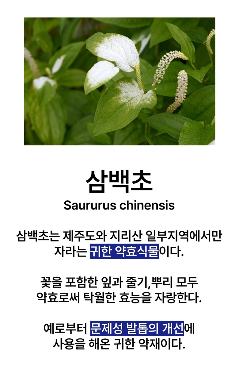 c5da7b69bf55c3186d50e6d198b59652_1764564233_8707.jpg c5da7b69bf55c3186d50e6d198b59652_1764564233_8707.jpg